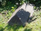 image of grave number 834679